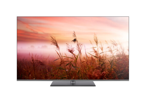 Panasonic TV-65W83AE6 - 65 Zoll 4K LED Smart TV – Bild 5